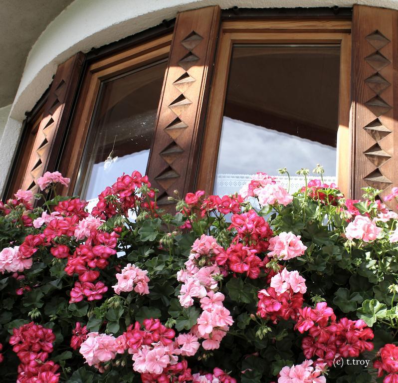 Ferienhaus Troy Doren Екстериор снимка